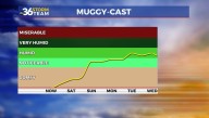 Several days with rain chances in the forecast