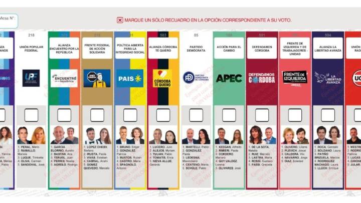 Elecciones 2025: La Libertad Avanza enfrenta una dura caída en intención de voto