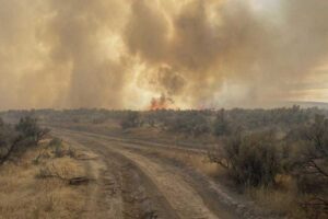 BLM requires shooters pay $24k for starting wildfires that burned more than 700 acres