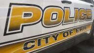 Erie PA councilman proposes letting more police take vehicles home