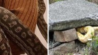 Justin Downs returns to court after dumping ex girlfriend’s snakes on Coogee street