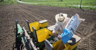 ‘Tidal wave of problems’: With harvest here, Trump’s trade war pushes some US farmers to the brink