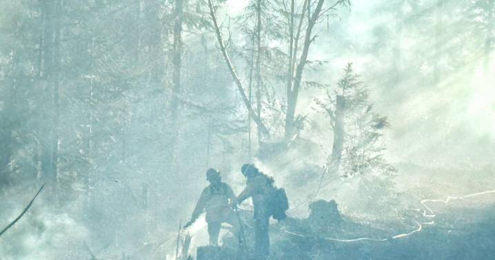 Foley Ridge Fire in Lane County burning 494 acres now at 37% containment
