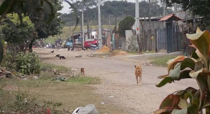 Bolivia lanza un ambicioso plan para reducir la pobreza extrema en zonas rurales