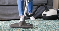 Brits urged to do one thing in autumn to keep their homes pest