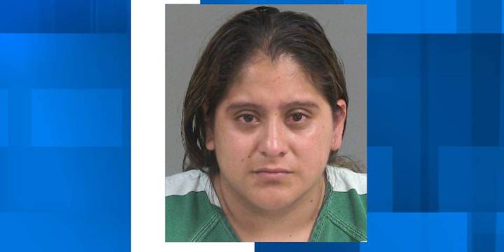 North Charleston Police charge woman with leaving children unattended in car