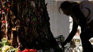 Un árbol "milagroso" al que le cayó un rayo atrae devotos en un cementerio de Bolivia; afirman que cumple deseos