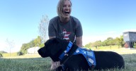 ‘He was my reason to stay’: Air Force veteran credits service dog with saving her life