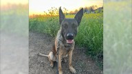 Stanislaus County Sheriff's Office mourns loss of 3