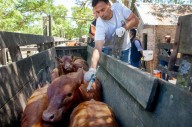CARBAP cuestionó la salida rápida de la vacunación antiaftosa