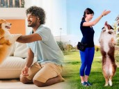 ¿Por qué los perros saltan y mueven la cola de alegría al vernos? La ciencia tiene la respuesta