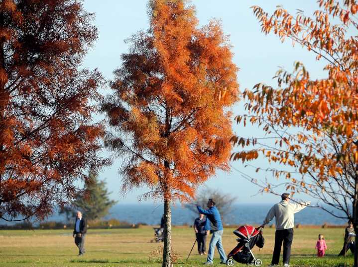 N.Y. fall foliage reports 2025: How to track peak colors this season