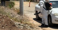 Instalan mil 204 ovitrampas pare prevenir el dengue