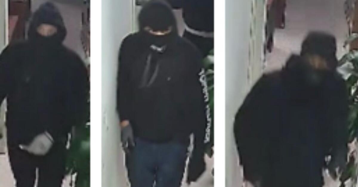 Newark Police Seeks Help Identifying Burglary Suspects