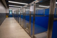 64 of 65 dogs rescued from overwhelmed home adopted in nearly 3 weeks in Jackson County