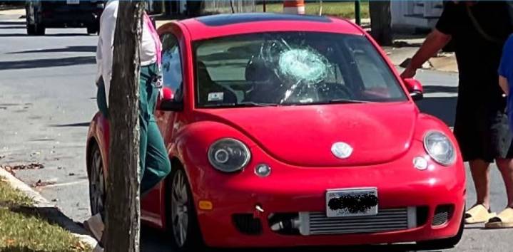 Vandal rampage hits New Bedford: 20 cars, including Massachusetts Police Cruiser, smashed in midnight spree