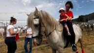 El parque de Pamplona que acoge una macro feria de ganado con pinchos, mercadillo, degustaciones y música