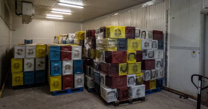Persiste la debilidad en la economía mexicana
