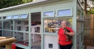 Plymouth cats move into plush £60k home