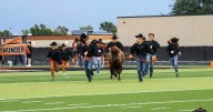 Live bison taking a Colorado community by storm and growing school pride