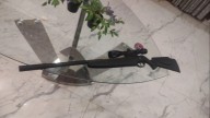 Defendieron a los menores que mataron a un perro de un escopetazo