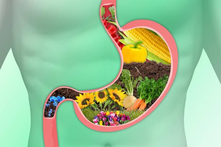 This 'reseeding' hack can improve your gut without supplements