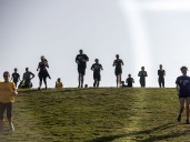 The Terry Fox Run, Walk to Remember, Cat Festival and Kiitaamoko O'passkaan Powwow: What our photographers saw this weekend