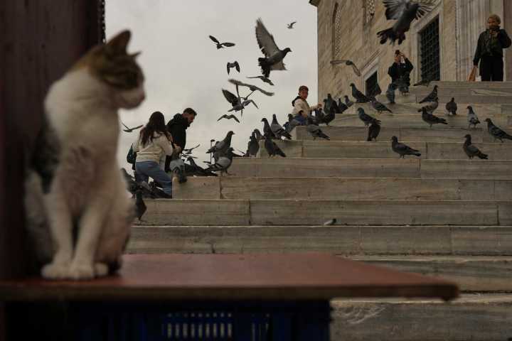 Our world in photos: September 29