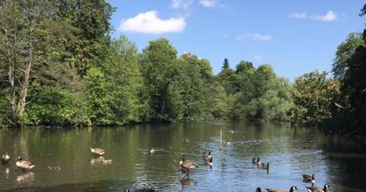 Birmingham has an ancient deer park hidden behind one of the city's busiest commuter roads