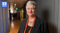 Arts industry leaders call for tax reforms to help struggling sector
