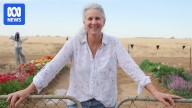 Gardeners share the joys of turning dust to daisies in the Australian outback