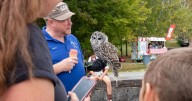 Thacher Park Hawk Watch more than just counting