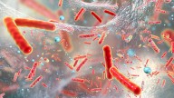 Alerta en EE. UU.: brote de salmonela en comidas listas para comer deja decenas de infectados y varias hospitalizaciones