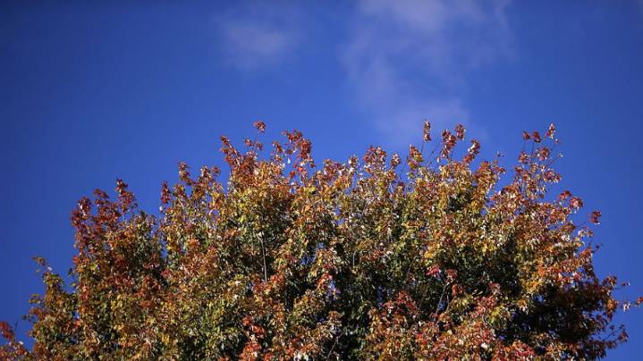 Western Washington awaits autumn weather next week