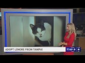 Give Lenore from Tampa a fur