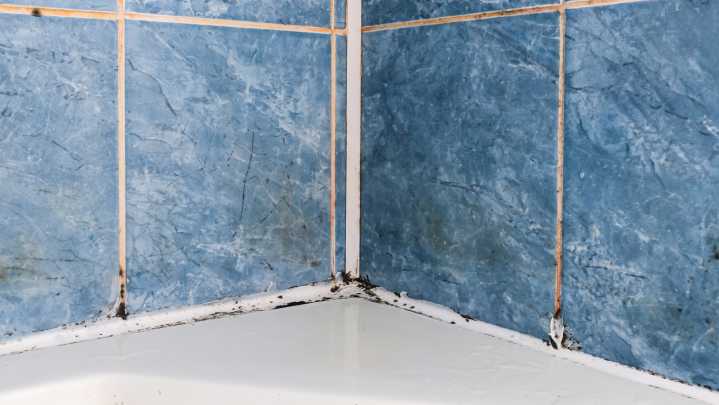 The Easy Shower Door Trick That Stops Mold Before It Starts