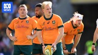 Wallabies playmaker Tom Lynagh cleared of concussion and available to play Argentina in Rugby Championship