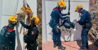 ¡Héroes peludos! Así entrenan binomios caninos en Michoacán para rescate en emergencias