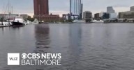 25,000 dead fish causing a stench near Baltimore's Inner Harbor