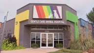 Edmond animal hospital rebrands after controversy involving former veterinarian