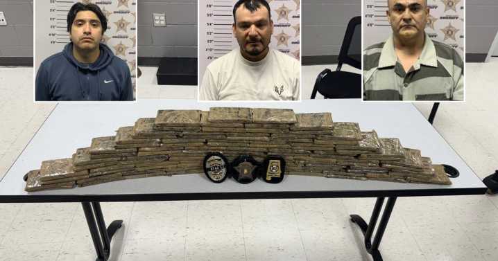 Law enforcement authorities arrest illegal aliens at Decatur hotel in effort to destroy drug syndicate