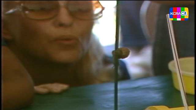 Folsom's Great Snail Race in 1982