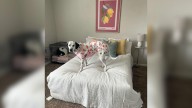 California Woman Adopts Dream Dog, But A Vet Visit Reveals A Heartbreaking Truth