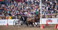 Conoce los artistas invitados y precios de las entradas para la Semana de la Chilenidad en el Parque Padre Hurtado