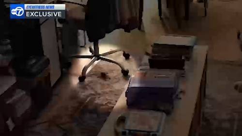 Exclusive: Family relocated from Bed-Stuy, Brooklyn apartment due to mouse infestation