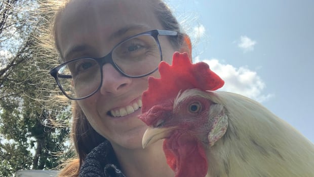 Sometimes a relationship will change you. For me, it was with 3 scraggly, white backyard chickens