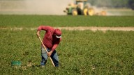 Farming, Computers Lead Gallup’s Industry Ratings. Federal Government Ranks Worst