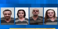 71-year-old Monroe County woman attacked by numerous dogs, 4 charged, sheriff’s office says
