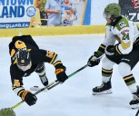 North Bay Battalion batter Sarnia in neutral site preseason game