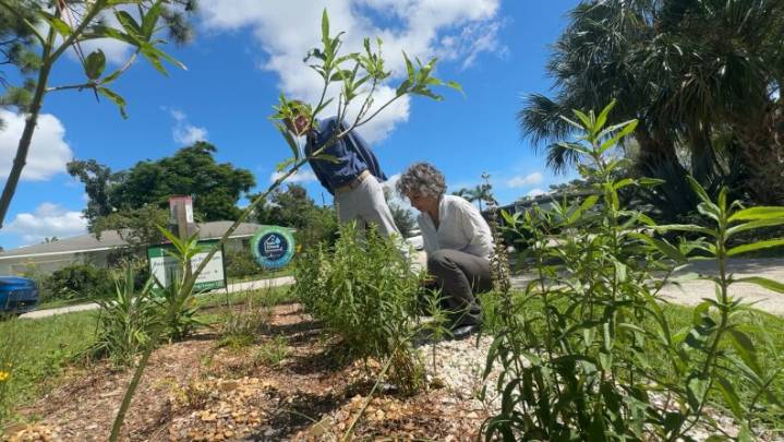 Sarasota County residents get cash to help improve SWFL water quality